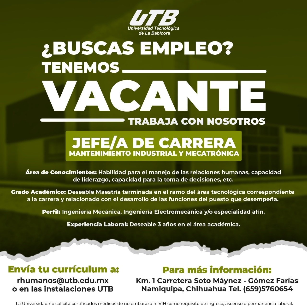 jefe carrera